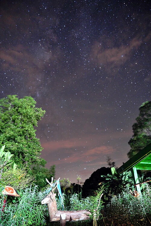 【花蓮景點】來去赤柯山住一晚!加蜜園無菜單金針花料理、住宿推薦!