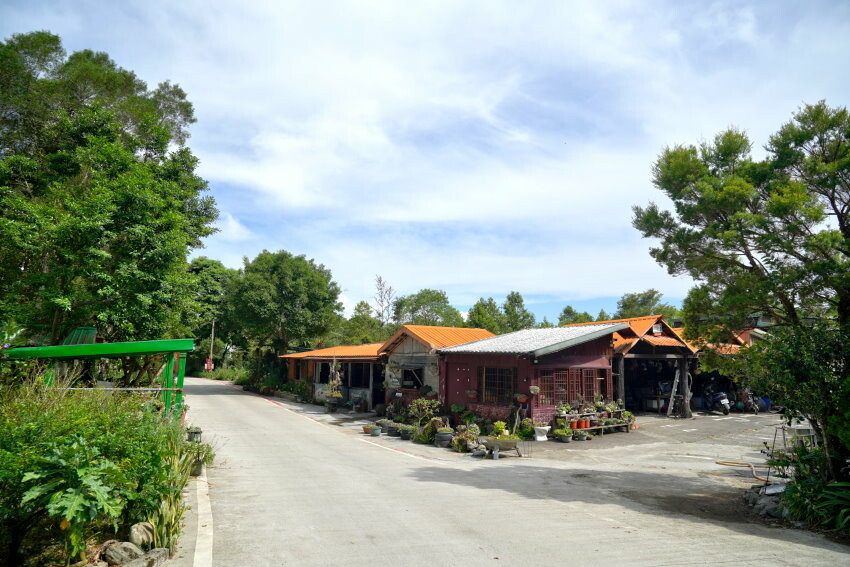 【花蓮景點】來去赤柯山住一晚!加蜜園無菜單金針花料理、住宿推薦!