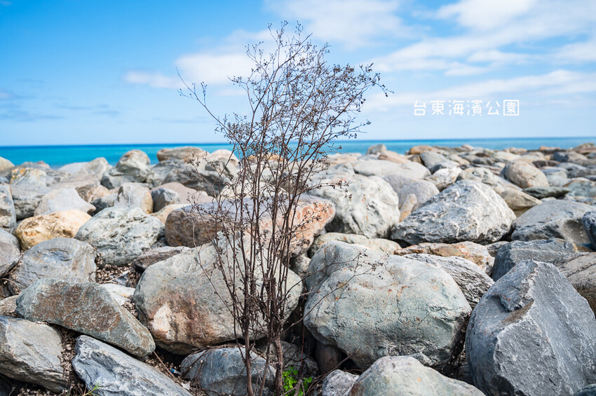 |台東景點|國際地標(海濱公園),眺望太平洋蔚藍的無敵海景,也是賞日出的最佳景點 - Hallo!I'm 婷兒