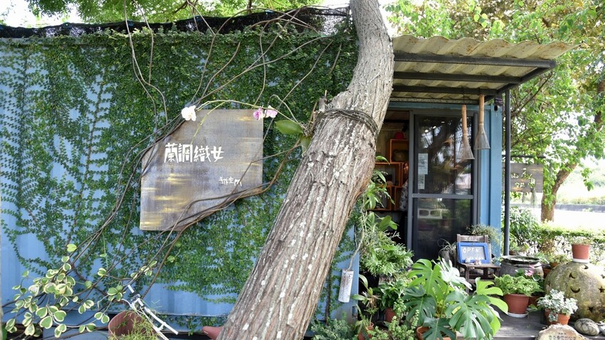 台東長濱東河遊程推薦|吳若石神父足部健康驛站 足部反射健康法發跡地 蘭調織女 阿美族染、鉤、織工藝DIY體驗 貼近大自然的藝術饗宴|西莉亞玩樂人生 054.JPG