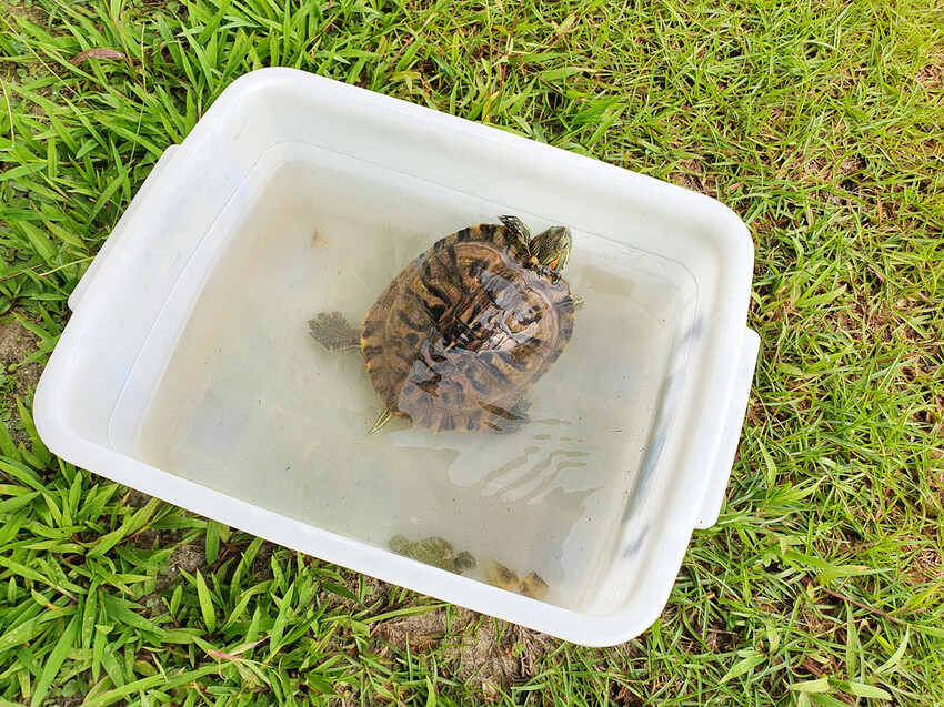 20220801_081005 20220801_081005