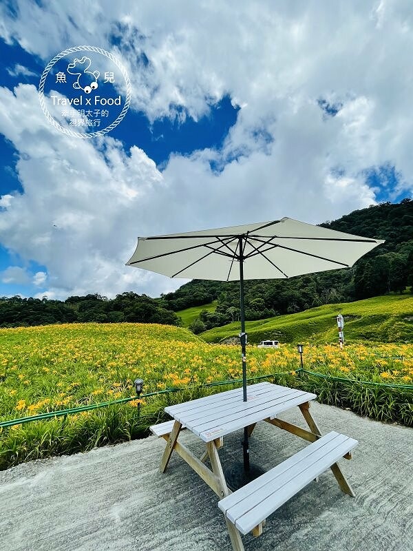 季節限定~彎沿小路赤科山｜七八月賞花去~黃澄澄花海，開花啦！ @魚兒 x 牽手明太子的「視」界旅行