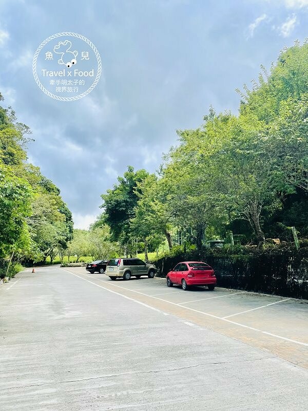 季節限定~彎沿小路赤科山｜七八月賞花去~黃澄澄花海，開花啦！ @魚兒 x 牽手明太子的「視」界旅行