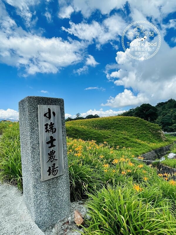 季節限定~彎沿小路赤科山｜七八月賞花去~黃澄澄花海，開花啦！ @魚兒 x 牽手明太子的「視」界旅行