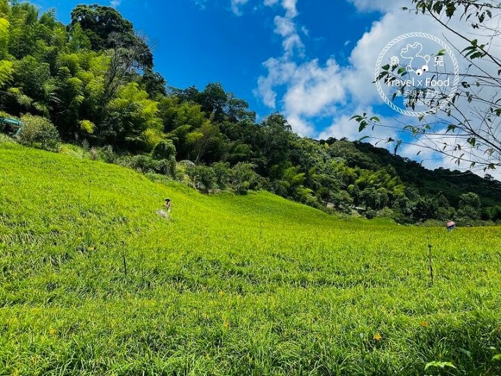 季節限定~彎沿小路赤科山｜七八月賞花去~黃澄澄花海，開花啦！ @魚兒 x 牽手明太子的「視」界旅行