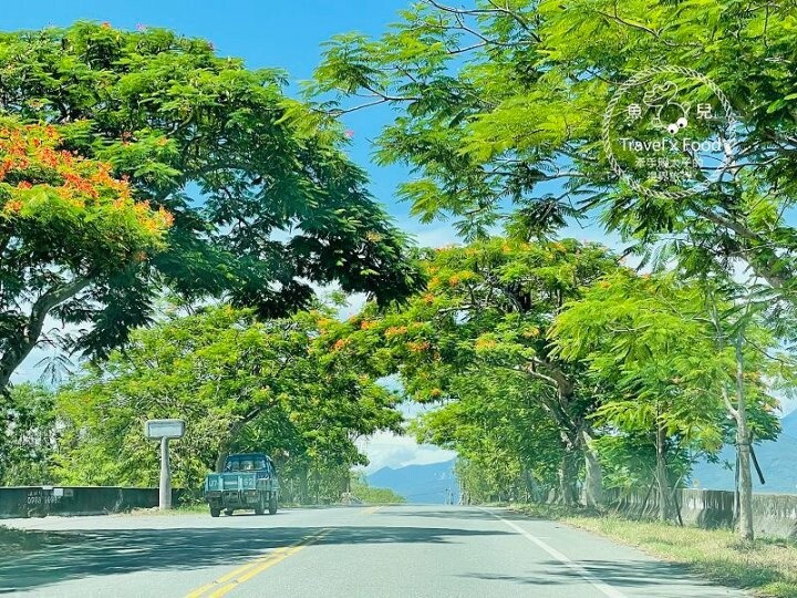 季節限定~彎沿小路赤科山｜七八月賞花去~黃澄澄花海，開花啦！ @魚兒 x 牽手明太子的「視」界旅行