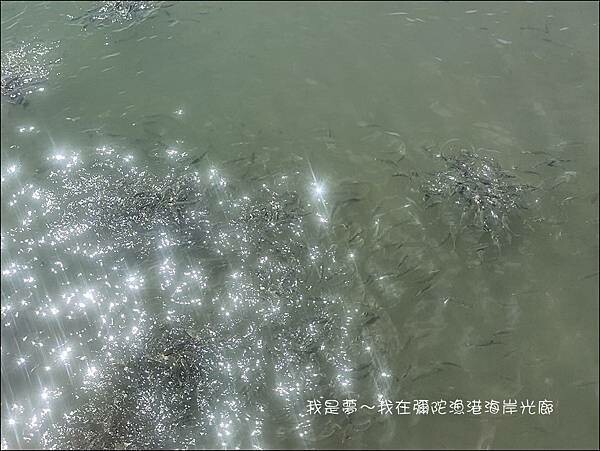 彌陀漁港海岸光廊16.jpg 彌陀漁港海岸光廊16.jpg