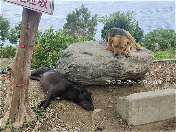 台東太麻里08.jpg 台東太麻里08.jpg