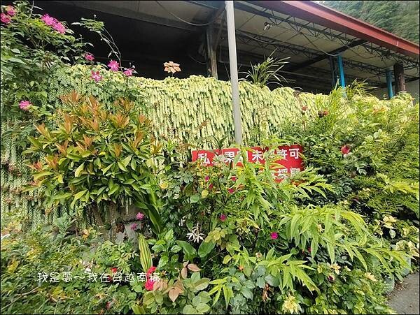 南橫08.jpg 南橫08.jpg