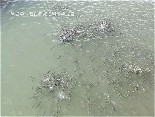 彌陀漁港海岸光廊17.jpg 彌陀漁港海岸光廊17.jpg