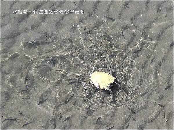 彌陀漁港海岸光廊15.jpg 彌陀漁港海岸光廊15.jpg