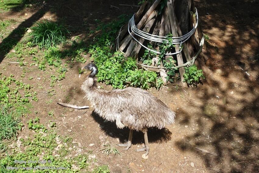 DSC08781.jpg DSC08781.jpg