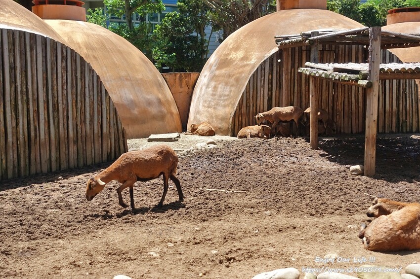 DSC08932.jpg DSC08932.jpg