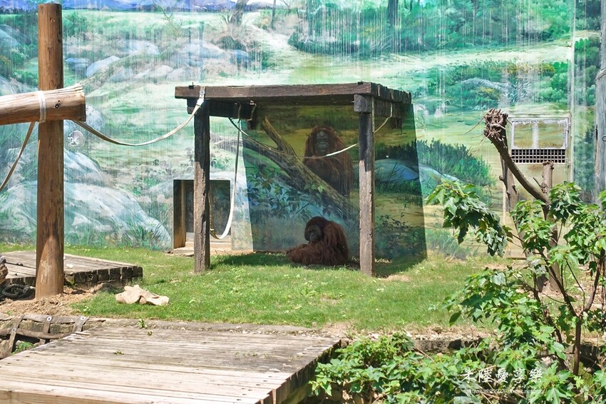 DSC08868.jpg DSC08868.jpg