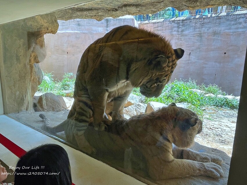 IMG_3542.jpg IMG_3542.jpg