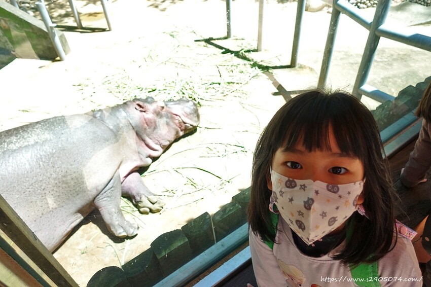 DSC08804.jpg DSC08804.jpg