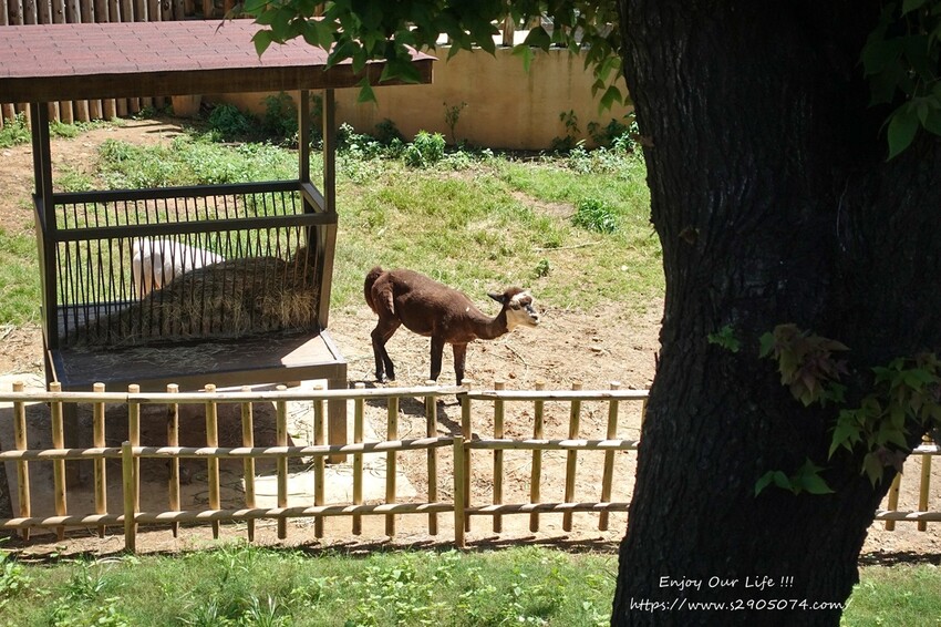 DSC08771.jpg DSC08771.jpg