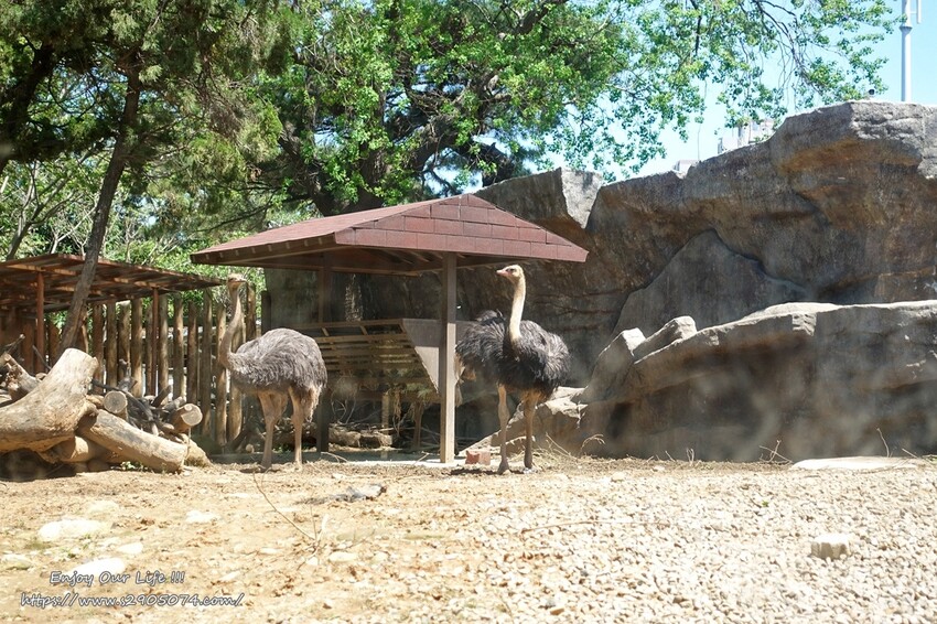 DSC08786.jpg DSC08786.jpg