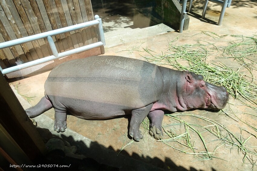 DSC08802.jpg DSC08802.jpg