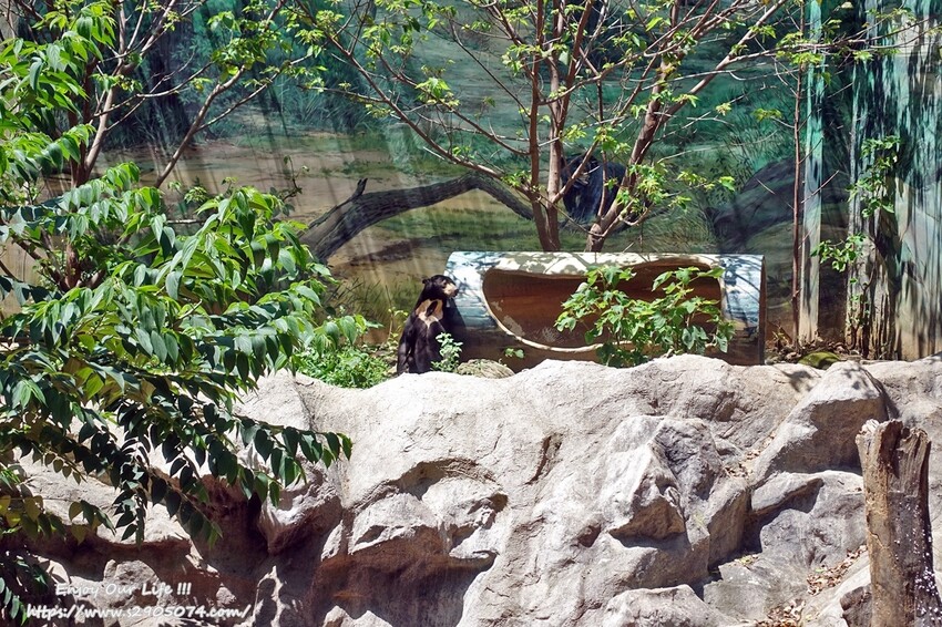 DSC08887.jpg 新竹市立動物園