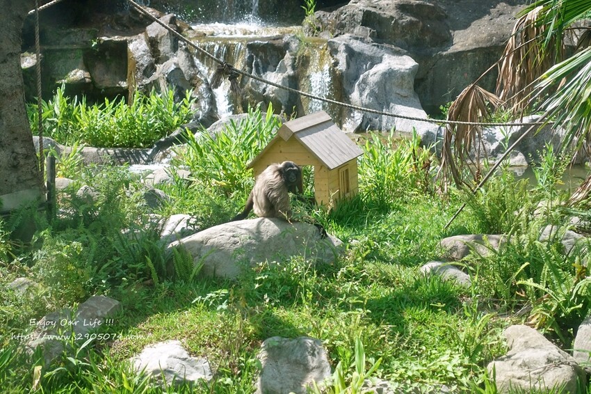 DSC03061.jpg DSC03061.jpg