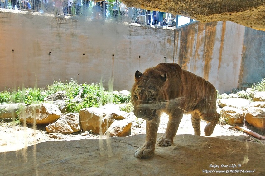 DSC08871.jpg DSC08871.jpg