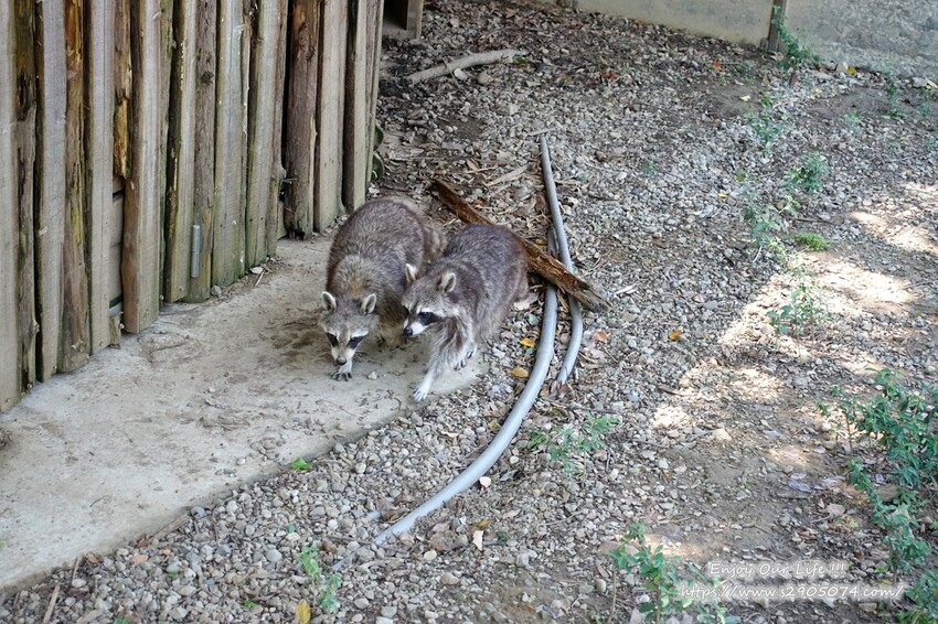 DSC08958.jpg DSC08958.jpg