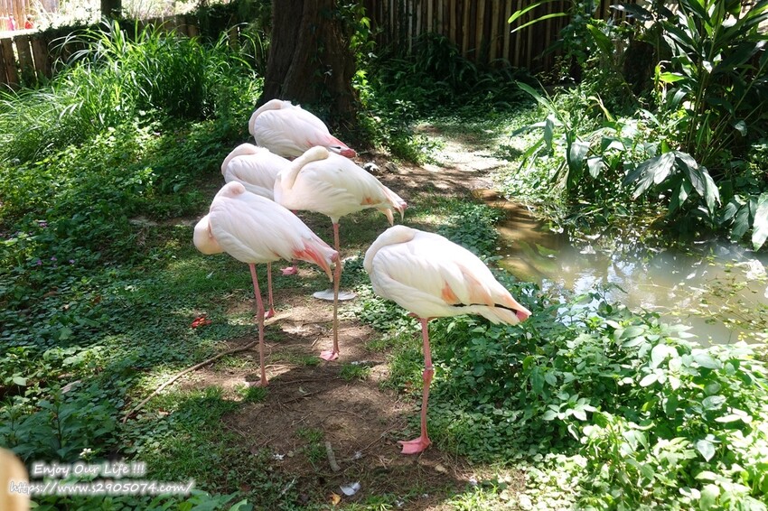 DSC08812.jpg DSC08812.jpg