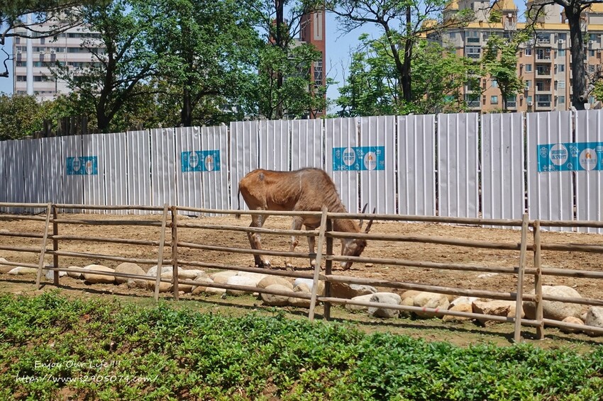 DSC08907.jpg DSC08907.jpg