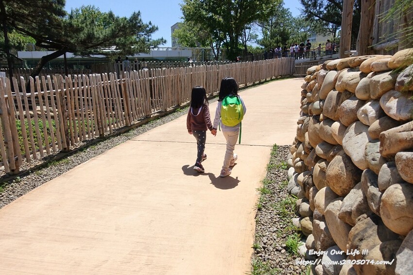 DSC08905.jpg DSC08905.jpg