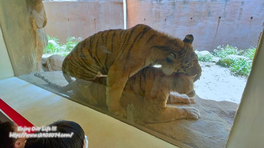 IMG_3562.jpg IMG_3562.jpg