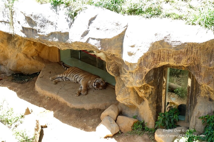 DSC08894.jpg DSC08894.jpg