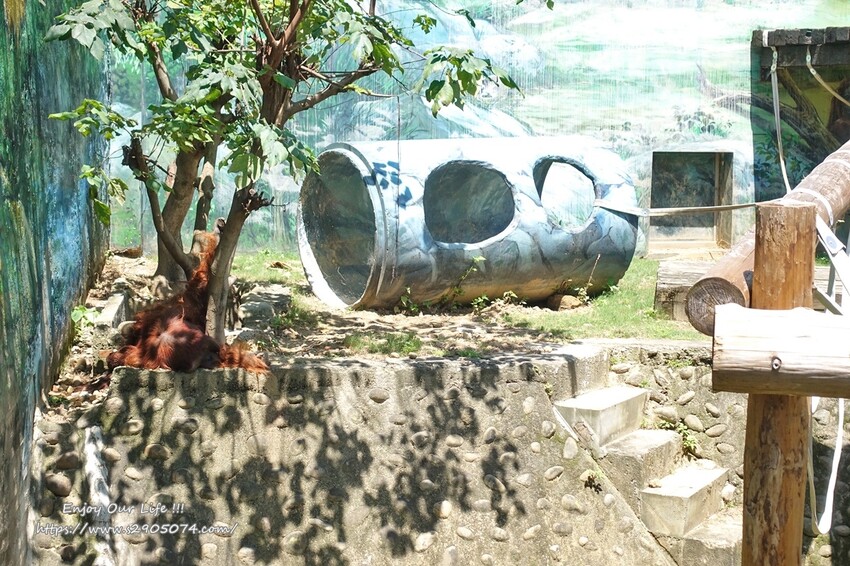 DSC08848.jpg DSC08848.jpg