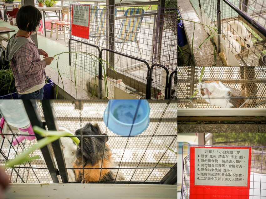 宜蘭親子景點 蔥寶寶體驗農場 X魔王 三星鄉蔥餅DIY 宜蘭旅遊推薦