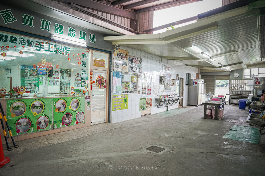 宜蘭親子景點 蔥寶寶體驗農場 X魔王 三星鄉蔥餅DIY 宜蘭旅遊推薦