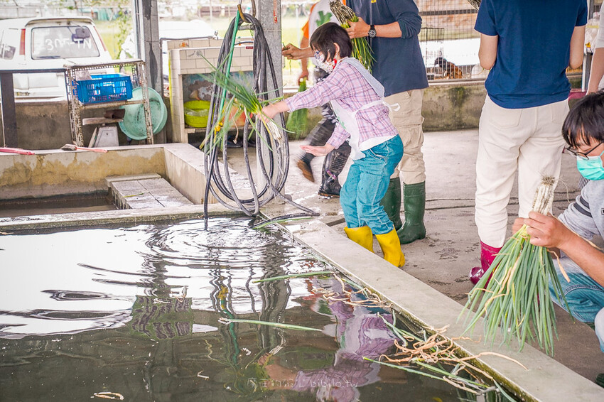 宜蘭親子景點 蔥寶寶體驗農場 X魔王 三星鄉蔥餅DIY 宜蘭旅遊推薦