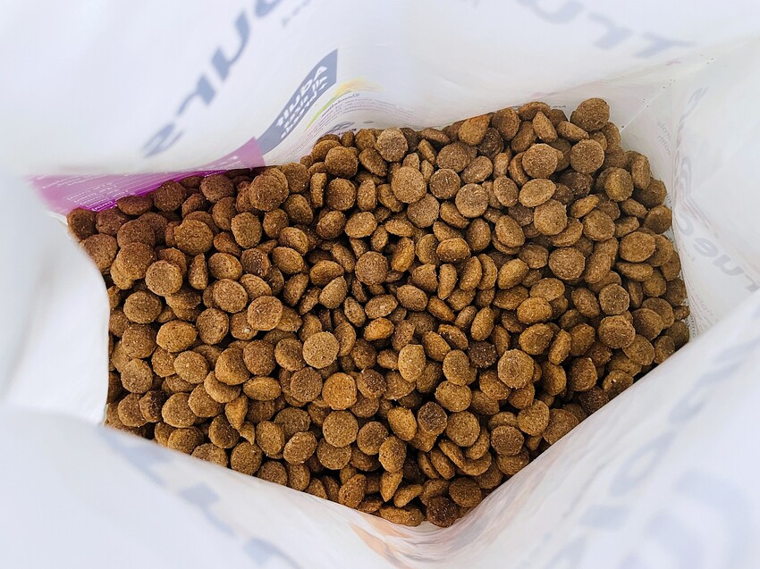 【初卡樂True Colours】狗飼料推薦！『澳洲羔羊+糙米』、『澳洲嫩雞+糙米』，來自澳洲的健康營養配方～小臘腸咪咪愛吃的美味狗糧！