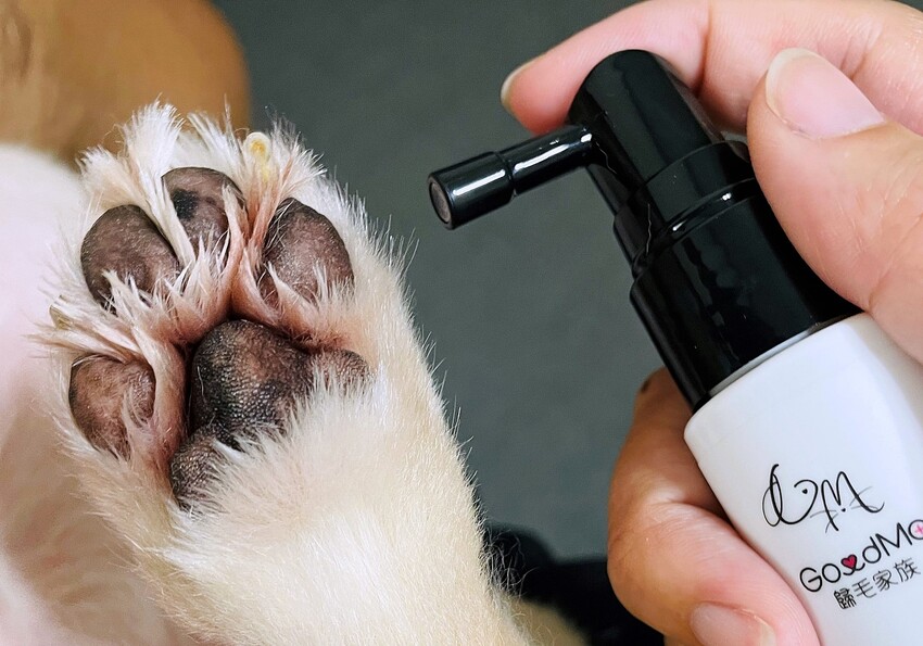 【歸毛家族】寵物肌膚救星『舒敏保濕洗毛乳』+『護膚噴液+精萃修護霜』狗狗皮膚敏感洗毛精推薦！戰勝問題肌，澡回健康肌