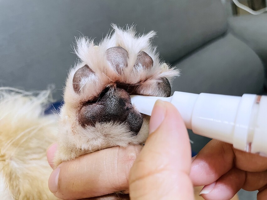 【歸毛家族】寵物肌膚救星『舒敏保濕洗毛乳』+『護膚噴液+精萃修護霜』狗狗皮膚敏感洗毛精推薦！戰勝問題肌，澡回健康肌