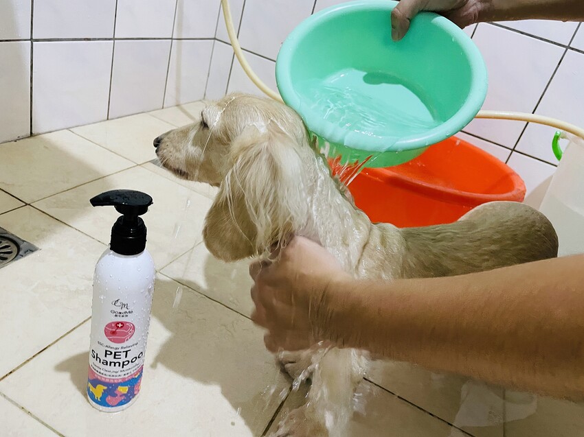 【歸毛家族】寵物肌膚救星『舒敏保濕洗毛乳』+『護膚噴液+精萃修護霜』狗狗皮膚敏感洗毛精推薦！戰勝問題肌，澡回健康肌