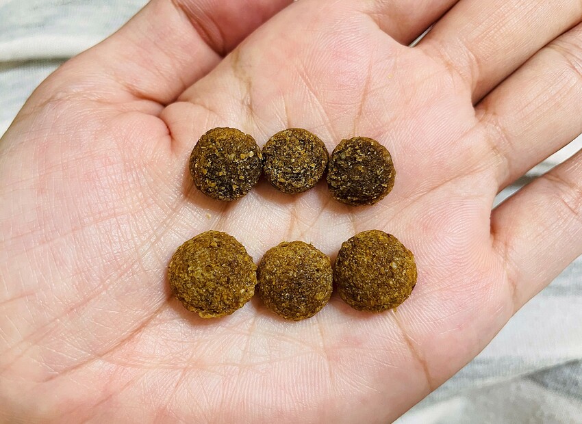 【初卡樂True Colours】狗飼料推薦！『澳洲羔羊+糙米』、『澳洲嫩雞+糙米』，來自澳洲的健康營養配方～小臘腸咪咪愛吃的美味狗糧！