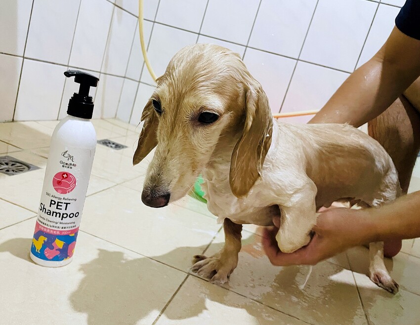 【歸毛家族】寵物肌膚救星『舒敏保濕洗毛乳』+『護膚噴液+精萃修護霜』狗狗皮膚敏感洗毛精推薦！戰勝問題肌，澡回健康肌