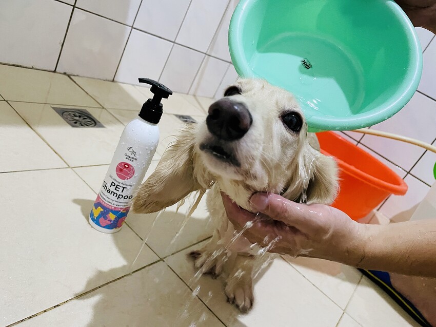 【歸毛家族】寵物肌膚救星『舒敏保濕洗毛乳』+『護膚噴液+精萃修護霜』狗狗皮膚敏感洗毛精推薦！戰勝問題肌，澡回健康肌