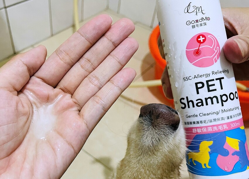 【歸毛家族】寵物肌膚救星『舒敏保濕洗毛乳』+『護膚噴液+精萃修護霜』狗狗皮膚敏感洗毛精推薦！戰勝問題肌，澡回健康肌