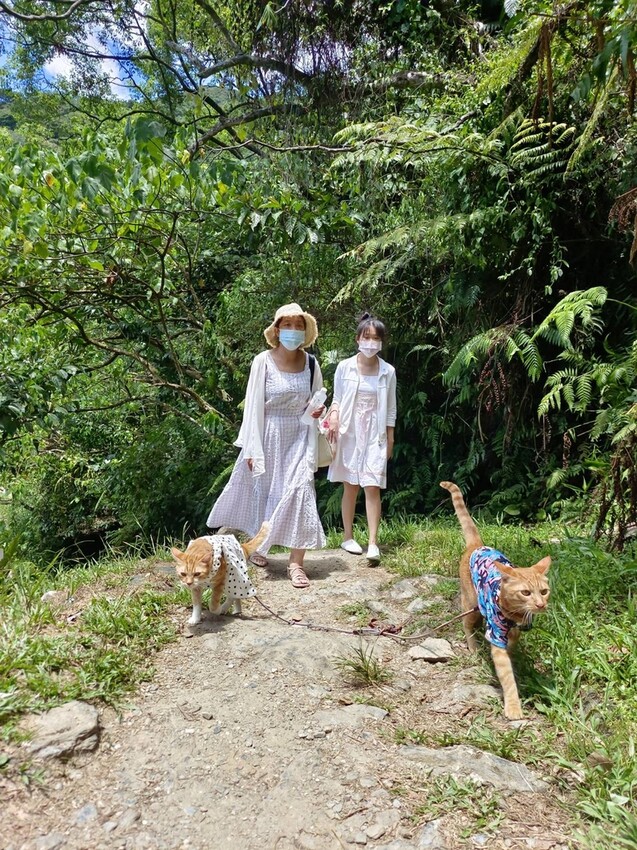 【花蓮.市區】撒固兒步道散散步。簡易好走有瀑布。穿裙子都能輕鬆駕馭。來回約一小時