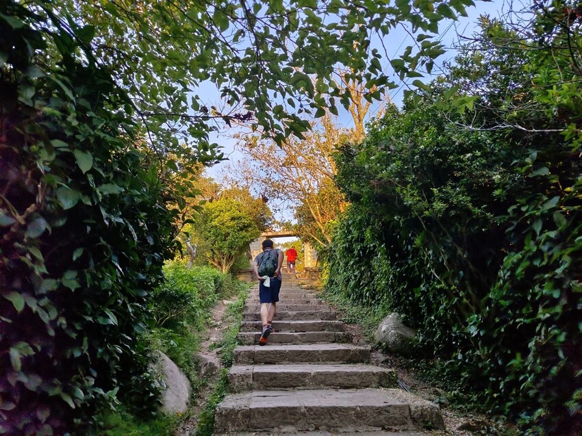 【台北.五股】帶著貓咪爬山去。觀音山硬漢嶺賞夕陽+夜景。大台北盆地美景盡收眼底