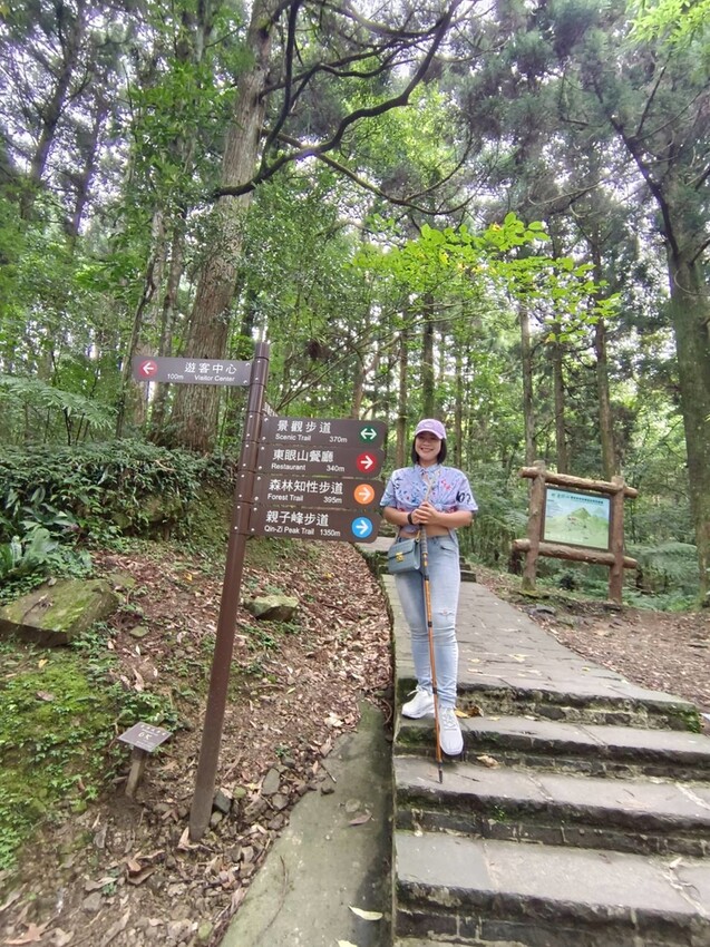 【桃園.復興】小百岳no.22東眼山國家公園海拔1212。O型一圈3.5k簡易好走。超美柳杉樹步道