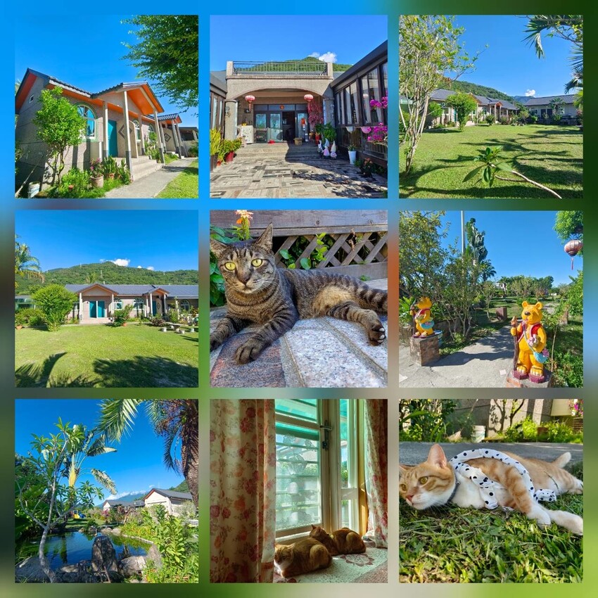 【花蓮.吉安】山緹庭院民宿。寵物友善住宿+寵物清潔費$300近市區用餐方便