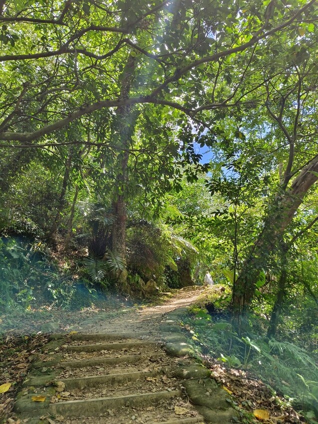 【花蓮.市區】撒固兒步道散散步。簡易好走有瀑布。穿裙子都能輕鬆駕馭。來回約一小時