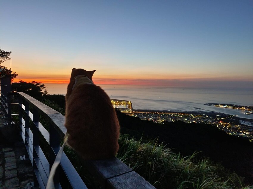 【台北.五股】帶著貓咪爬山去。觀音山硬漢嶺賞夕陽+夜景。大台北盆地美景盡收眼底